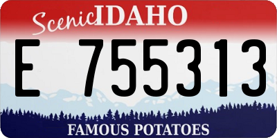 ID license plate E755313