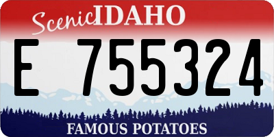 ID license plate E755324