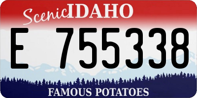ID license plate E755338