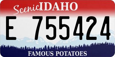 ID license plate E755424