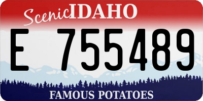 ID license plate E755489