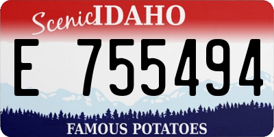 ID license plate E755494