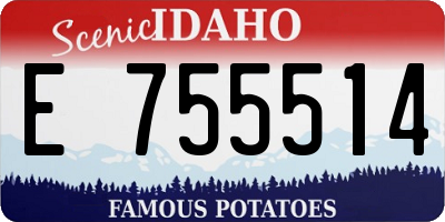 ID license plate E755514