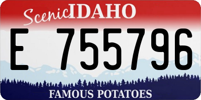 ID license plate E755796