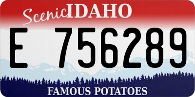 ID license plate E756289