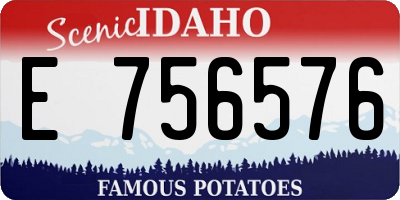 ID license plate E756576