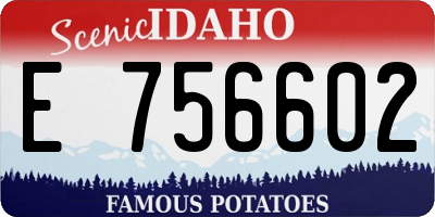 ID license plate E756602