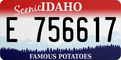 ID license plate E756617