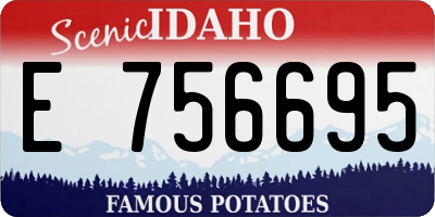 ID license plate E756695