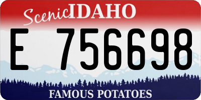 ID license plate E756698
