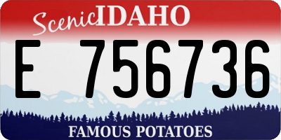 ID license plate E756736
