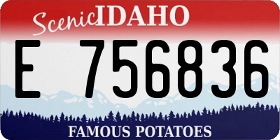 ID license plate E756836