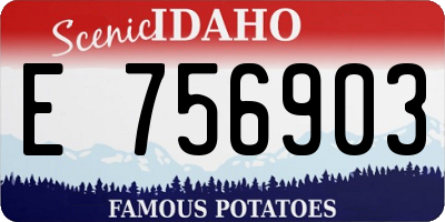 ID license plate E756903