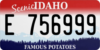 ID license plate E756999