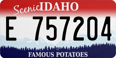 ID license plate E757204