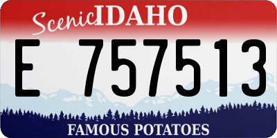 ID license plate E757513