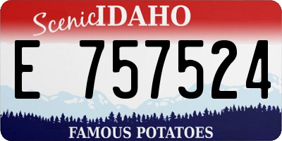 ID license plate E757524