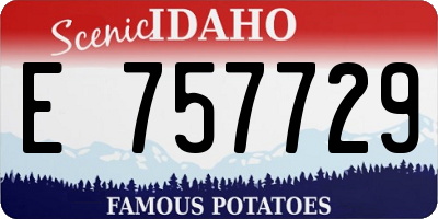 ID license plate E757729
