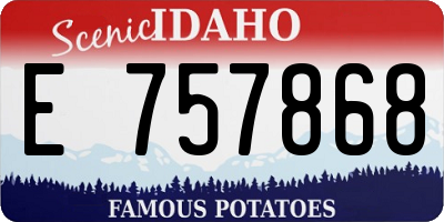 ID license plate E757868