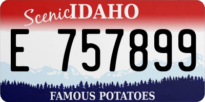 ID license plate E757899