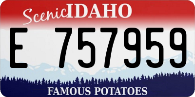 ID license plate E757959