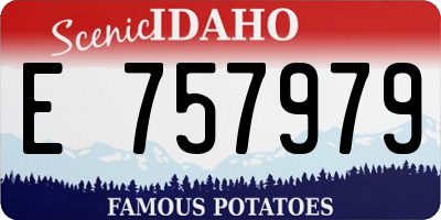 ID license plate E757979