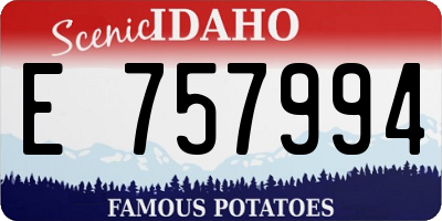 ID license plate E757994