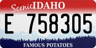 ID license plate E758305