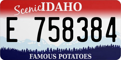 ID license plate E758384