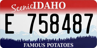 ID license plate E758487