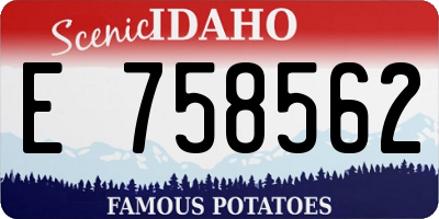 ID license plate E758562