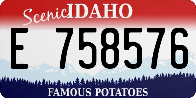 ID license plate E758576