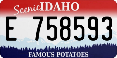 ID license plate E758593
