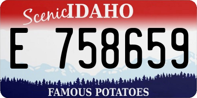 ID license plate E758659
