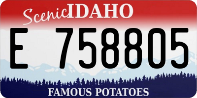 ID license plate E758805