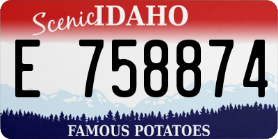 ID license plate E758874