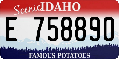 ID license plate E758890
