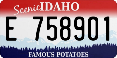 ID license plate E758901