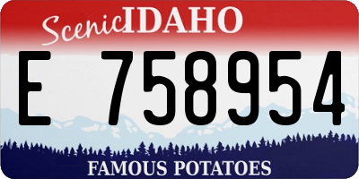 ID license plate E758954