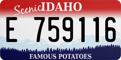 ID license plate E759116
