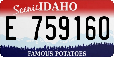 ID license plate E759160