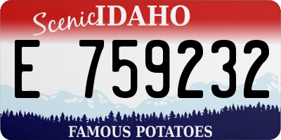 ID license plate E759232