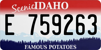 ID license plate E759263