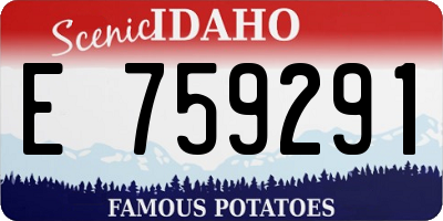 ID license plate E759291