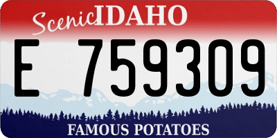 ID license plate E759309