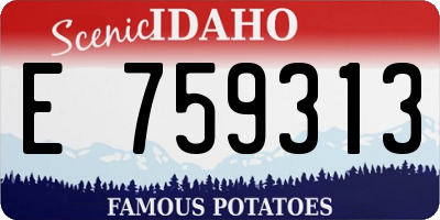 ID license plate E759313