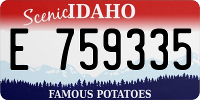 ID license plate E759335