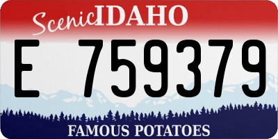 ID license plate E759379