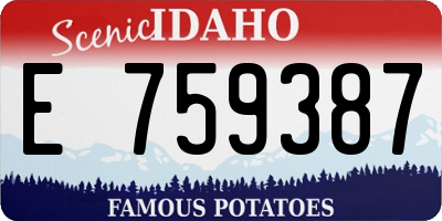 ID license plate E759387