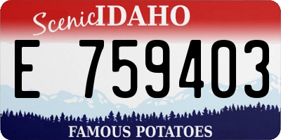 ID license plate E759403